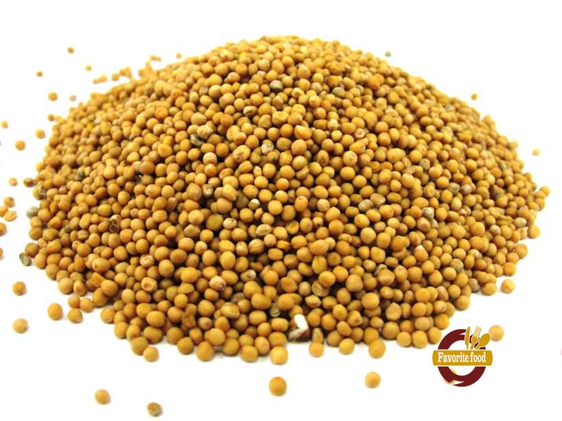 семена горчицы