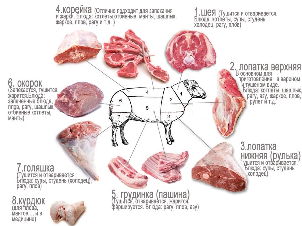 Раздел туши барана на мясо